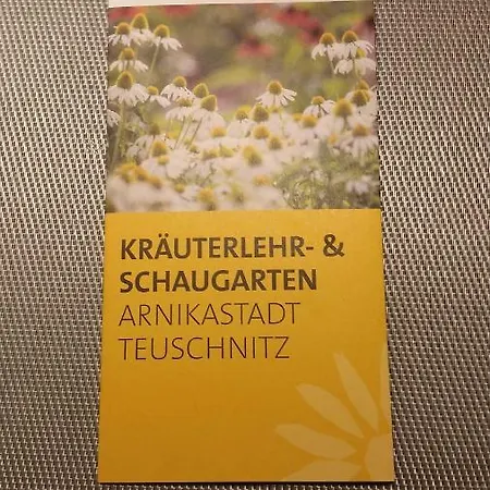 Erholung Pur Im Frankenwald, W-lan, Kamin, Pool, Uvm. Lägenhet